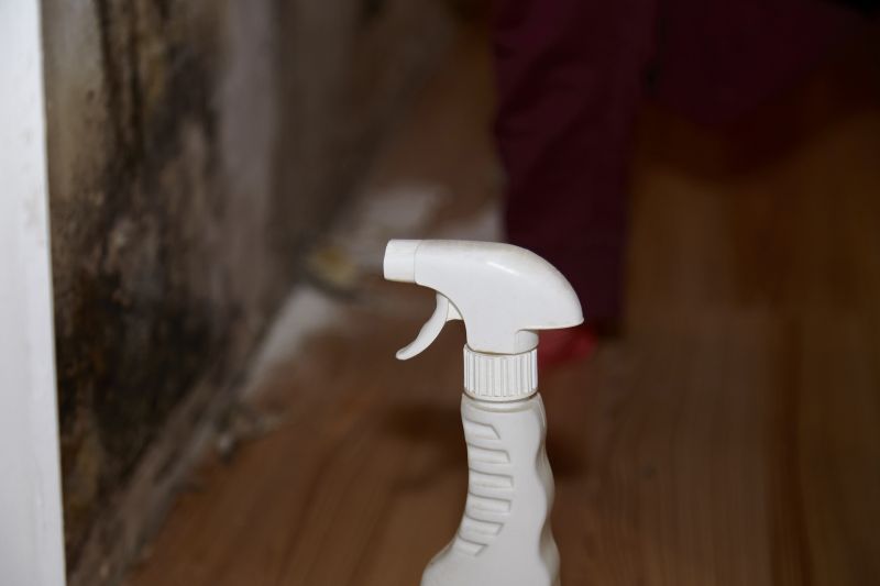 Air Duct Mold Removal in Fort Lauderdale, FL