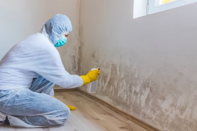 Attic Mold Remediation in Dallas, TX