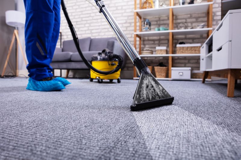 Basement Cleaning Service in Puyallup, WA