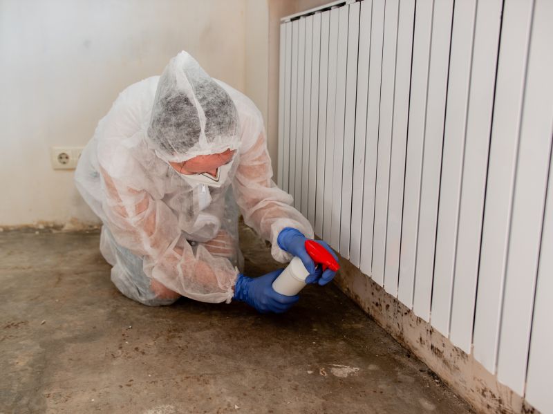Basement Mold Remediation in Dallas, TX