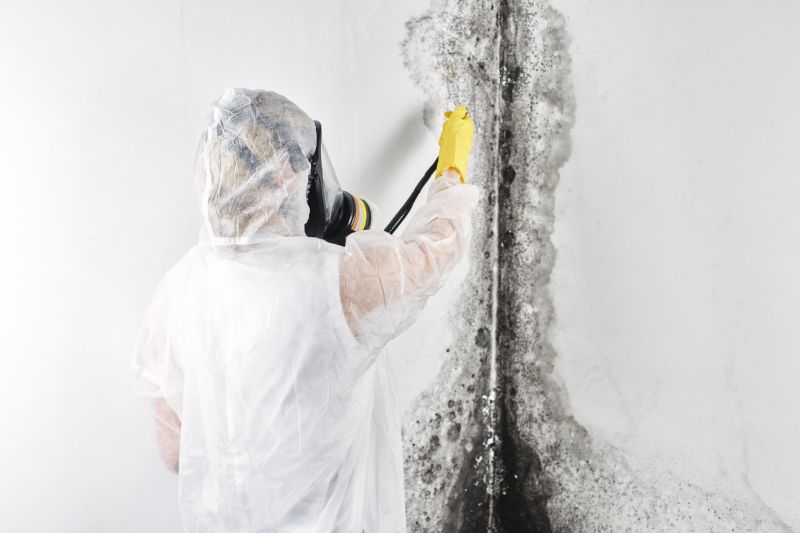 Basement Mold Removal in Jupiter, FL