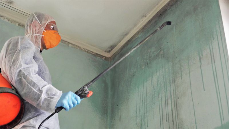 Black Mold Remediation in Bergen County, NJ