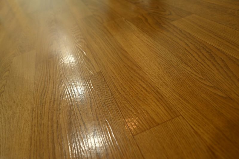 Polished Vinyl Floors