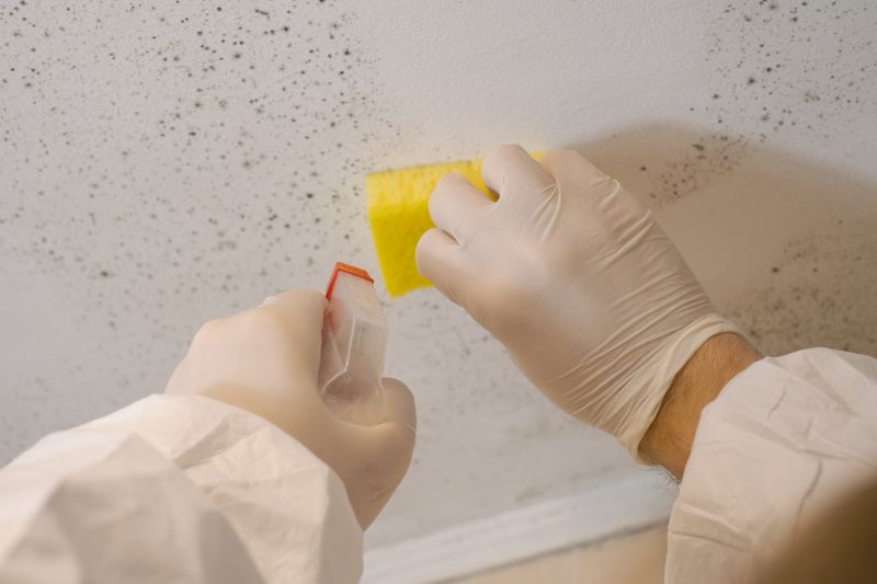Crawlspace Mold Remediation in Boca Raton, FL