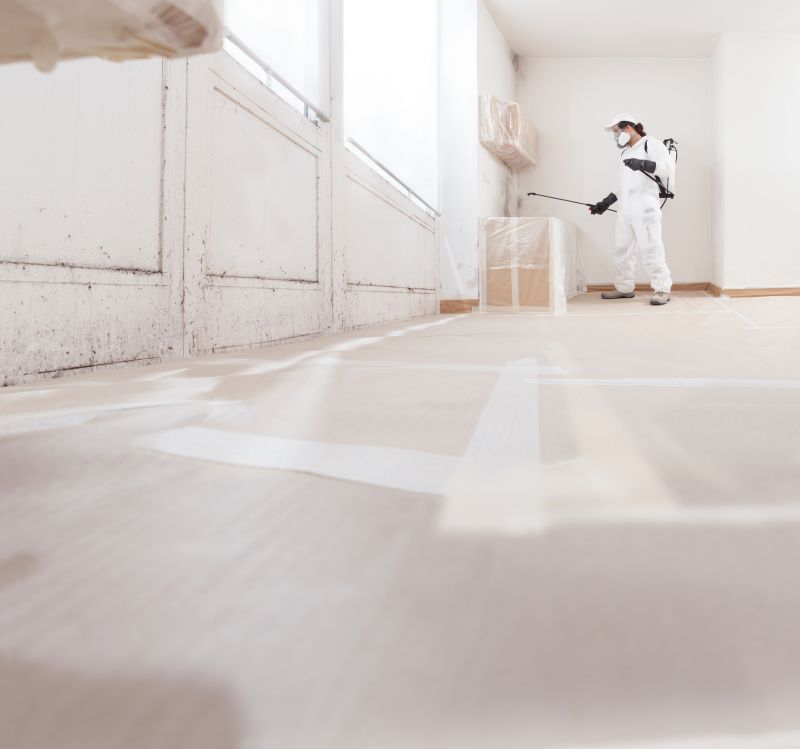 Garage Mold Remediation in Fort Worth, TX