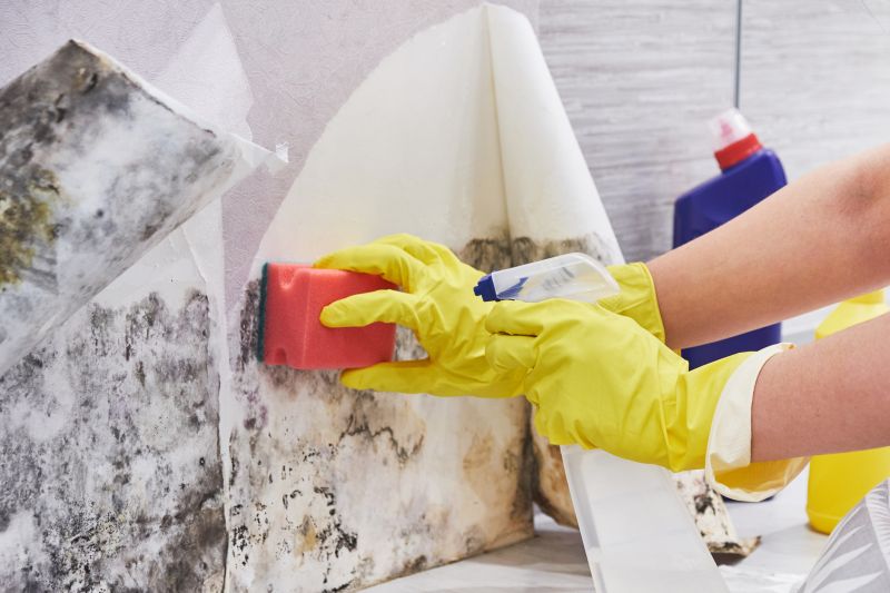 Garage Mold Remediation in Essex County, NJ