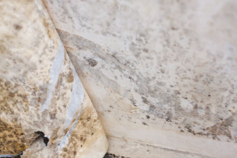 Mold Abatement Service in Bergen County, NJ