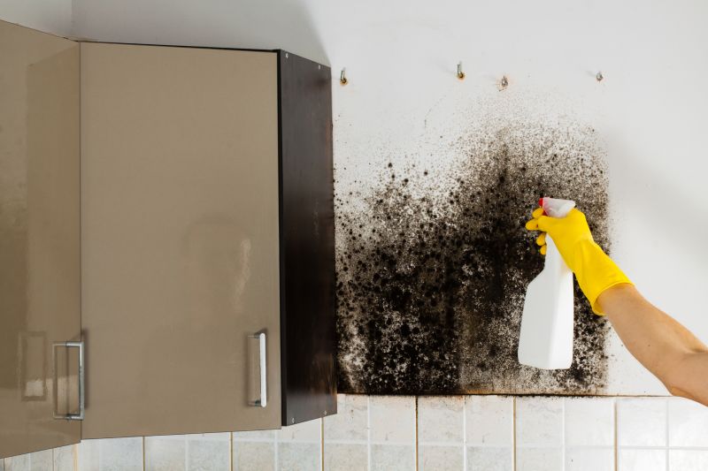 Mold Cleanup Service in Fort Lauderdale, FL