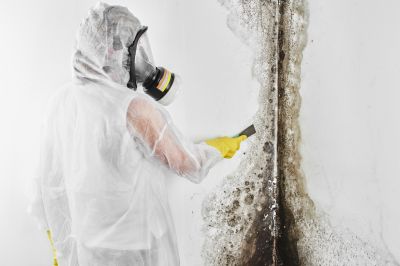 Mold Inspection And Removal in Denton, TX