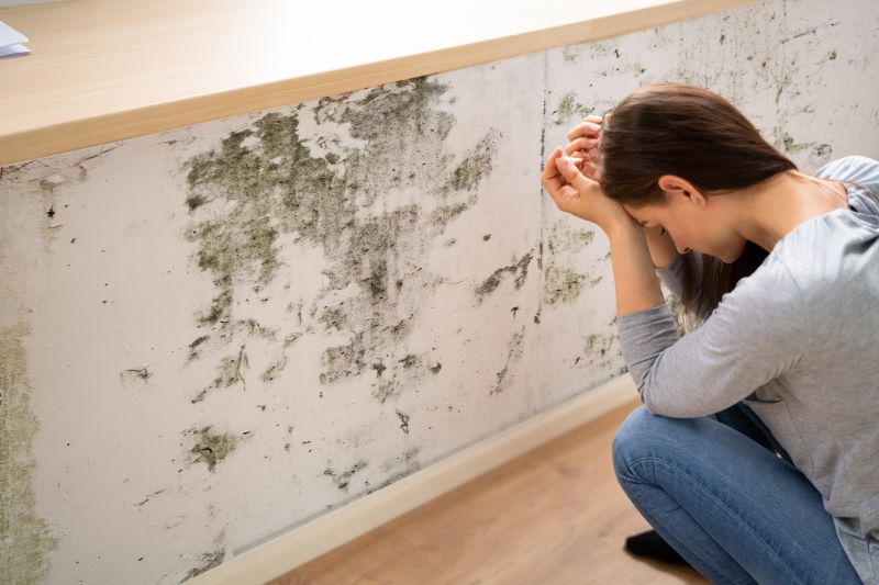Mold Removal in West Palm Beach, FL