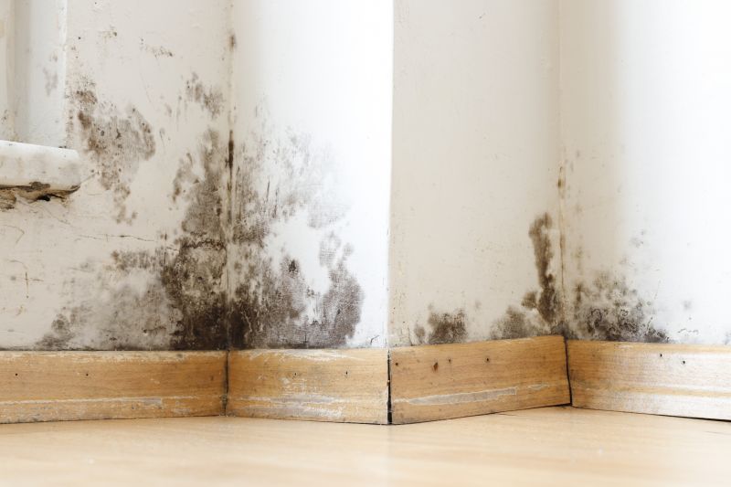 Mold Restoration in Essex County, NJ