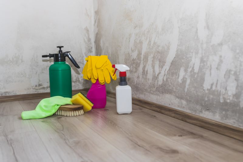 Attic Mold Remediation in Boca Raton, FL