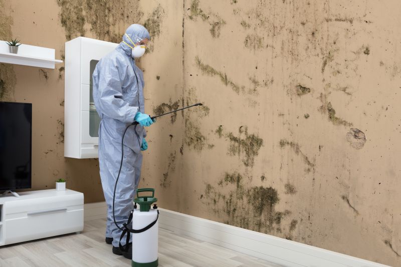 Black Mold Removal in Weatherford, TX