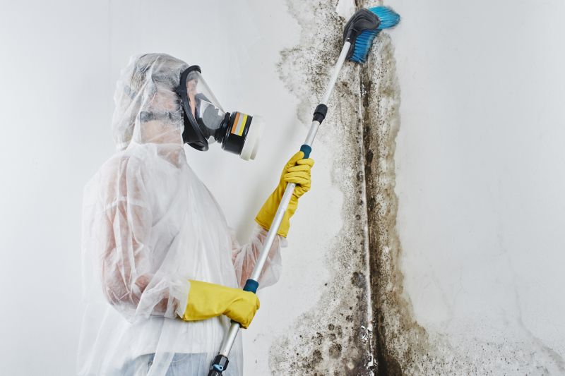 Crawl Space Mold Removal in Bergen County, NJ