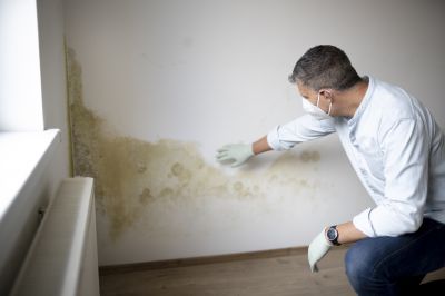Crawlspace Mold Remediation in Jupiter, FL
