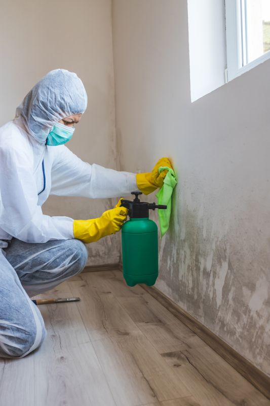 Mold Treatment Service in Broward County, FL