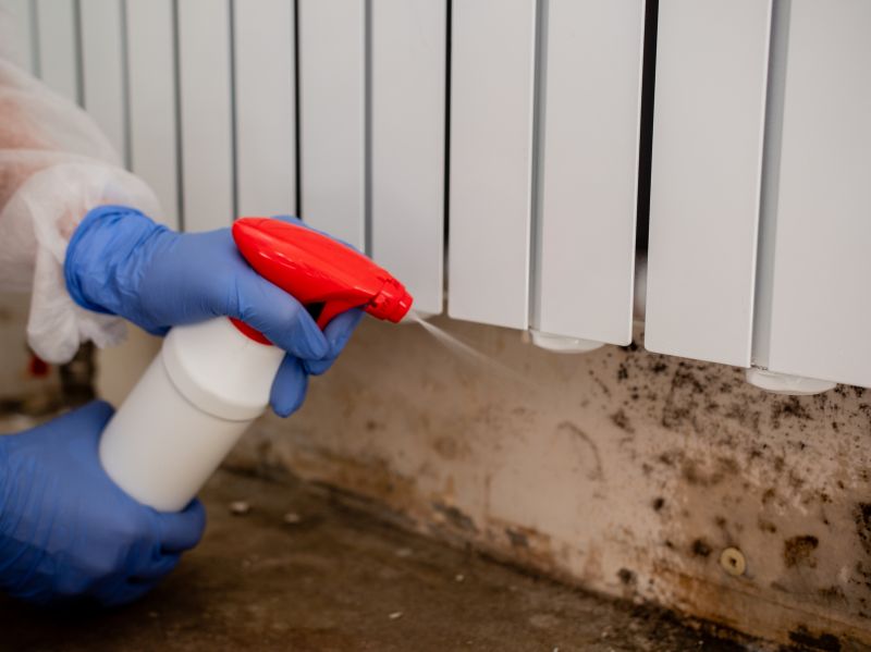 White Mold Mitigation in Broward County, FL